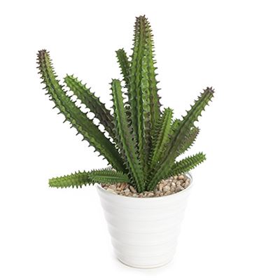 Cactus Succulent Realistic Artificial Plant In White Pot 19cm